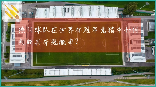热门球队在世界杯冠军竞猜中如何判断其夺冠概率?